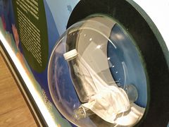 -上海海洋水族馆