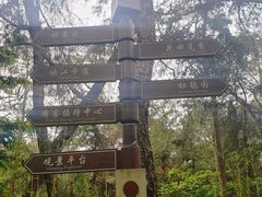 -铁山坪森林公园