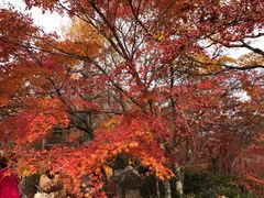 -常寂光寺
