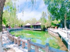 -趵突泉景区