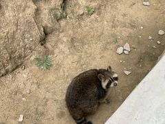 -青藏高原野生动物园