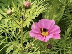 -汉长安城未央宫国家考古遗址公园