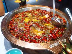 -雲蜀龙阁·金牌水煮鱼(方庄店)