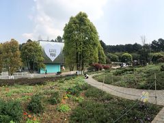 -铁山坪森林公园