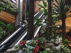 -澳门喜来登大酒店