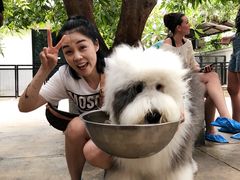 -TrueLove @ Neverland (Husky Cafe)