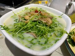 上汤豆苗-石头咕(葵蓬店)