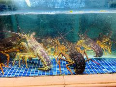 -顺峰(农展馆店)