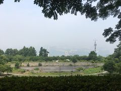 -铁山坪森林公园