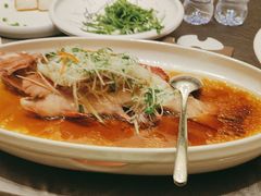 -骏莱海鲜鱼港(五角场店)