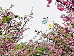 -观澜湖生态运动公社