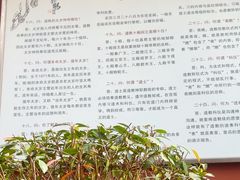 -钦赐仰殿道观