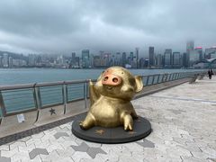-星光大道
