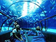 -成都浩海立方海洋公园
