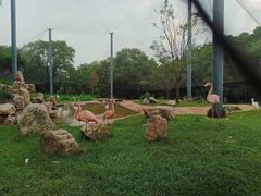 -沈阳森林动物园