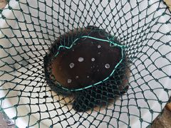 -海口滨海新村143号海南老字号炒菜店