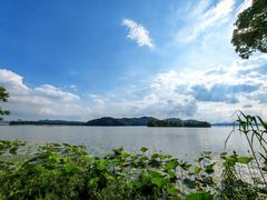 -东湖落雁景区