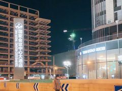 -国家会议中心大酒店