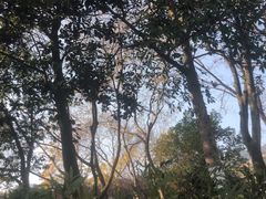 -杭州半山国家森林公园