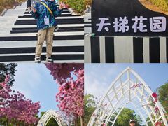 -盈香心动乐园