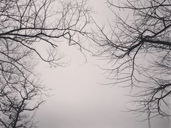 iphone_upload_pic-灵岩山风景区