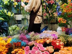 -朝来春花卉市场