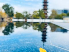 -龙华素斋(龙华路店)