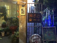 -猫色咖啡·猫咖