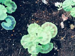 -迪茵湖田家舍生态农场