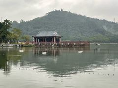 -顺峰山公园