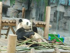 -栾川竹海野生动物园