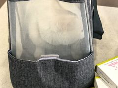 -瑞鹏宠物医院·骨科·猫科·内科(第一中心)