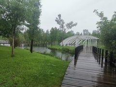 -眉山湿地公园(东坡区)