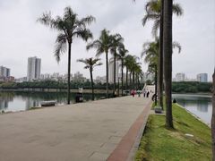 -南宁南湖公园