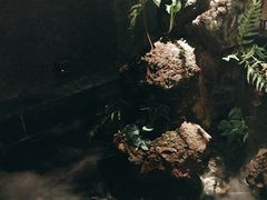 -泰之源足浴会所(玉环店)