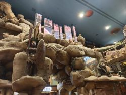 -卡通尼·Safari非洲探索乐园·生日会(金桥国际商业广场店)