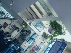 -Sirena海妖日咖夜酒