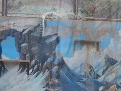 -青藏高原野生动物园
