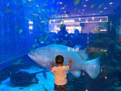 -成都浩海立方海洋公园