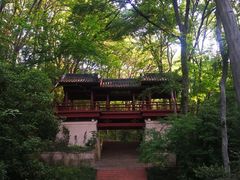 -紫霞湖公园