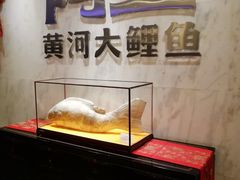 -阿五黄河大鲤鱼(纬三路店)