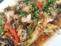 豉汁焗鱼头-隆都四季香饭店(碧海路店)
