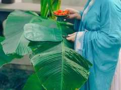 -扬州大运河文化旅游度假区·盆景园