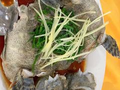 老虎斑-蚝专家(北滘店)