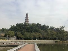 -顺峰山公园