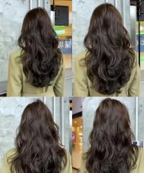 -FINE HAIR 烫染专业设计