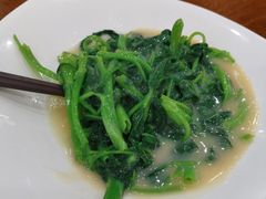 -富豪酒家(正大广场店)