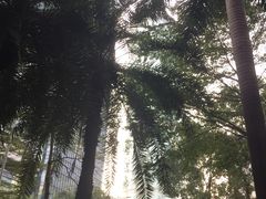 -星巴克臻选(深圳嘉里建设广场店)