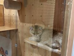 -府学·秋果S酒店(北京南锣鼓巷四合院店)