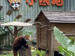 -深圳野生动物园
